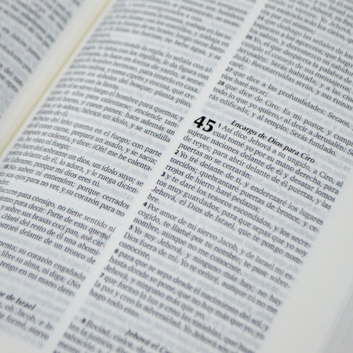 SOCIEDADES BIBLICAS UNIDAS - Biblia Reina Valera 1960 Compacta vinil canto pintado