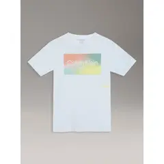 CALVIN KLEIN - Polera Niño Gradient Box Para Niño Blanco