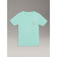 Polera Niño Con Bolsillo Para Niño Verde