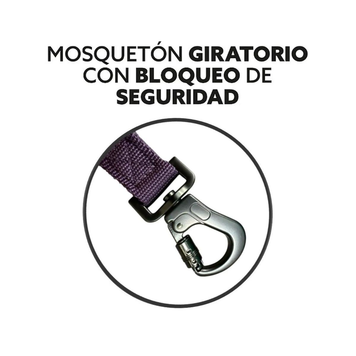 PETLOUNGE - Petlounge Correa De Paseo Adiestramiento 3m Perro Hasta 10kg - Violeta oscuro - 3M