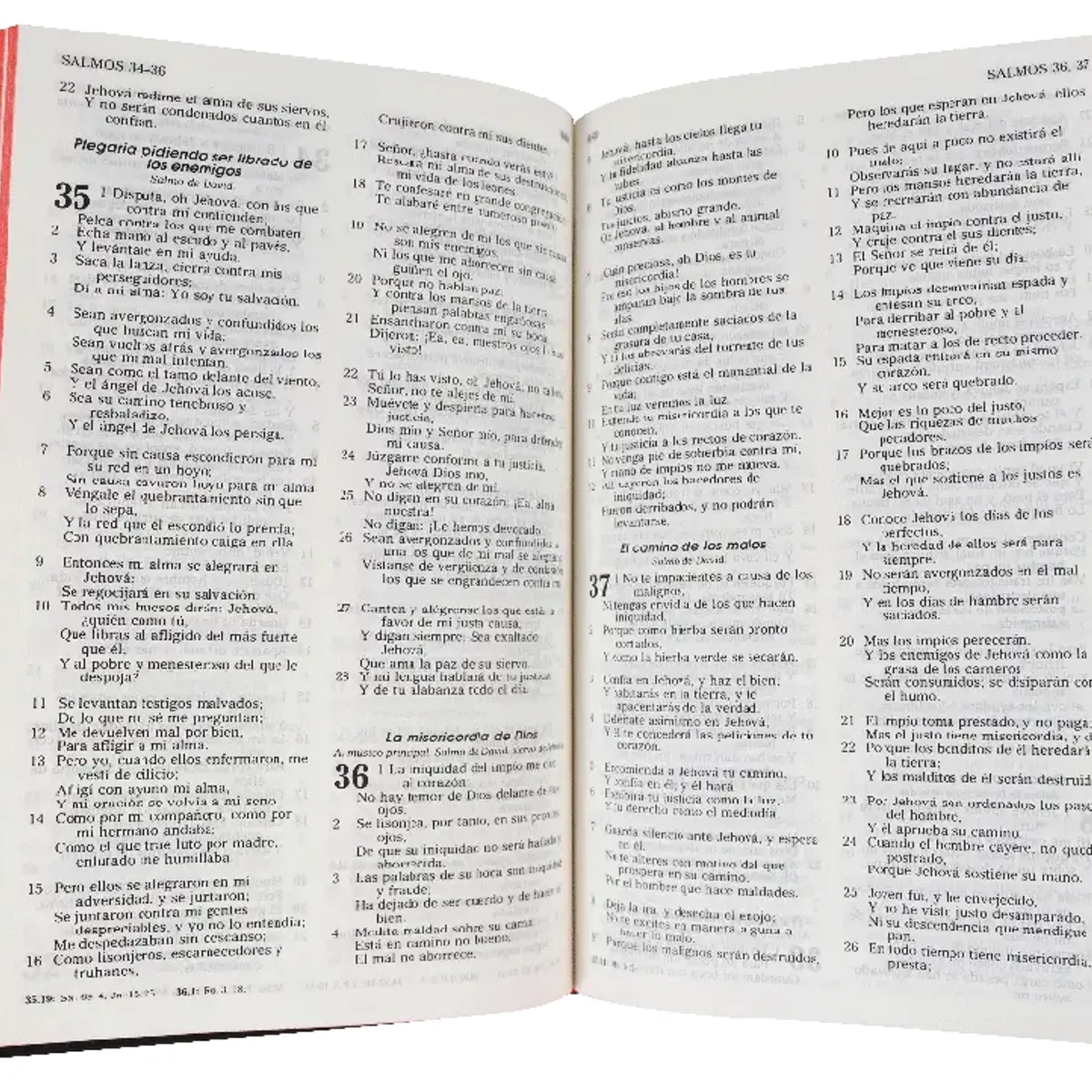 SOCIEDADES BIBLICAS UNIDAS - Biblia Reina Valera 1960 mediana letra 8,5 puntos canto rojo