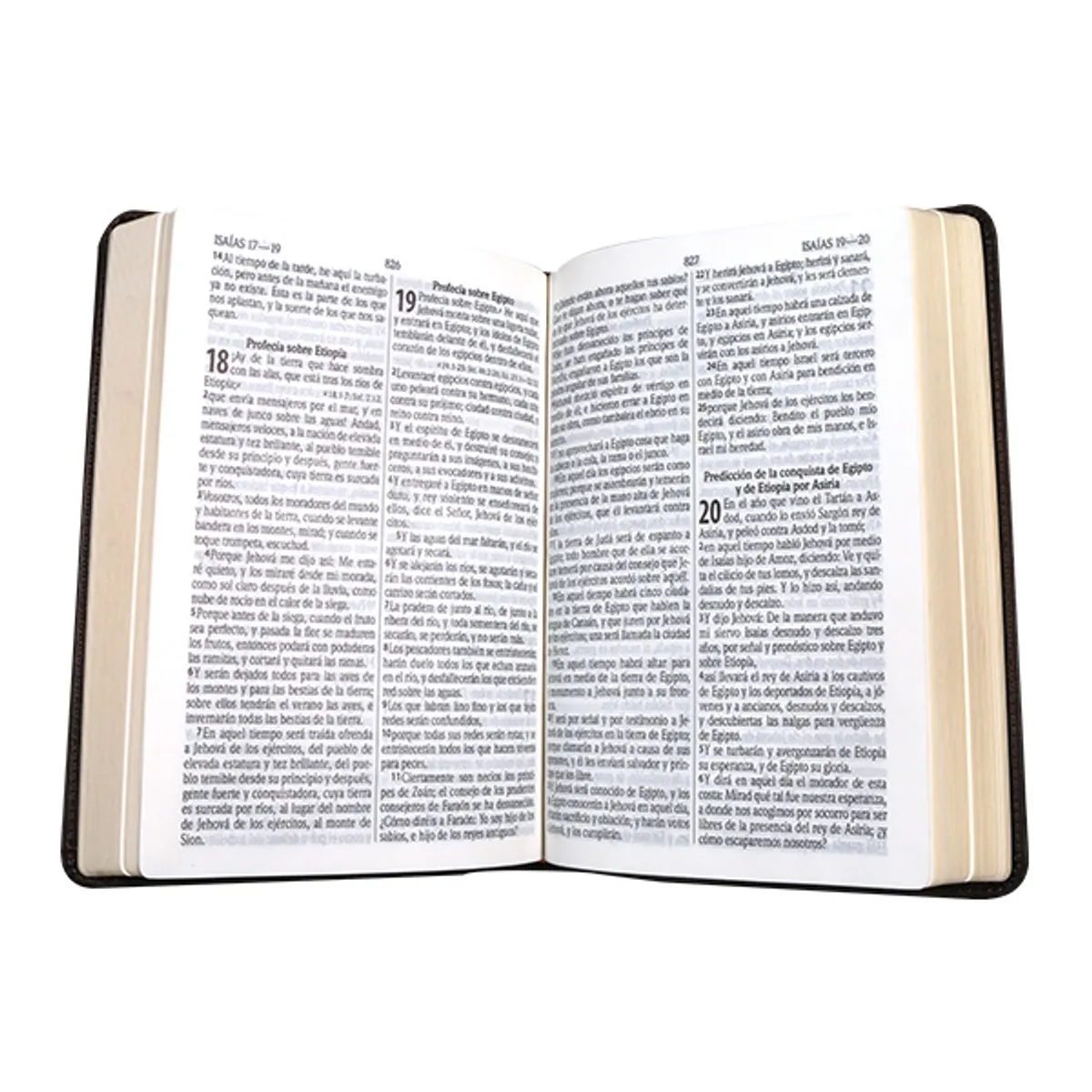 SOCIEDAD BIBLICA CHILENA - Biblia Pastoral Reina Valera 1960 Mediana Café Letra Grande