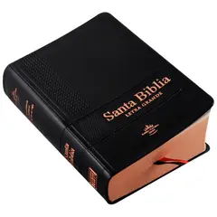 SOCIEDAD BIBLICA CHILENA - Biblia Reina Valera 1960 Tamaño Bolsillo Letra 9 puntos Vinil Negro