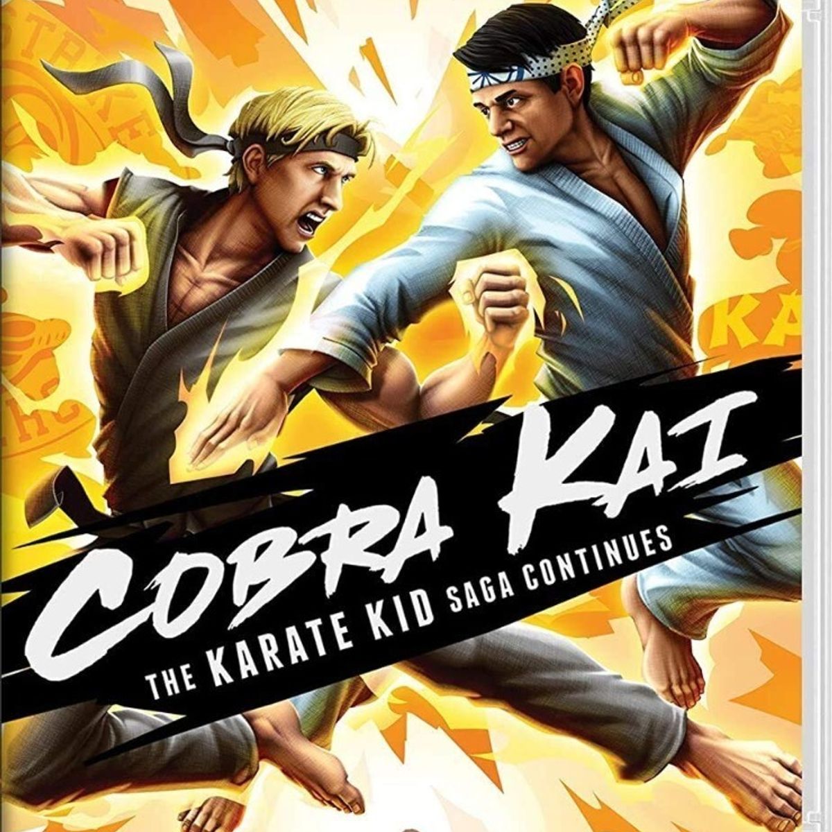 NINTENDO - Cobra Kai Karate Kid Saga Continues - Switch - Sniper