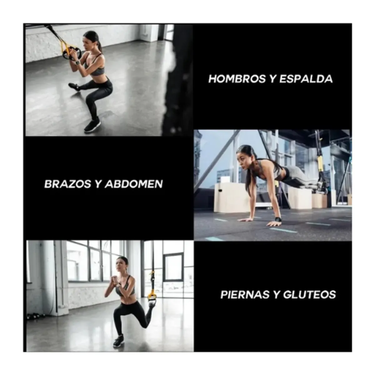 MOVI - Bandas de Suspensión TRX