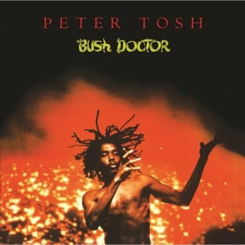 GRUPO LASER DISC - VINILO PETER TOSH DOCTOR BUSH + MAGAZINE 1LP
