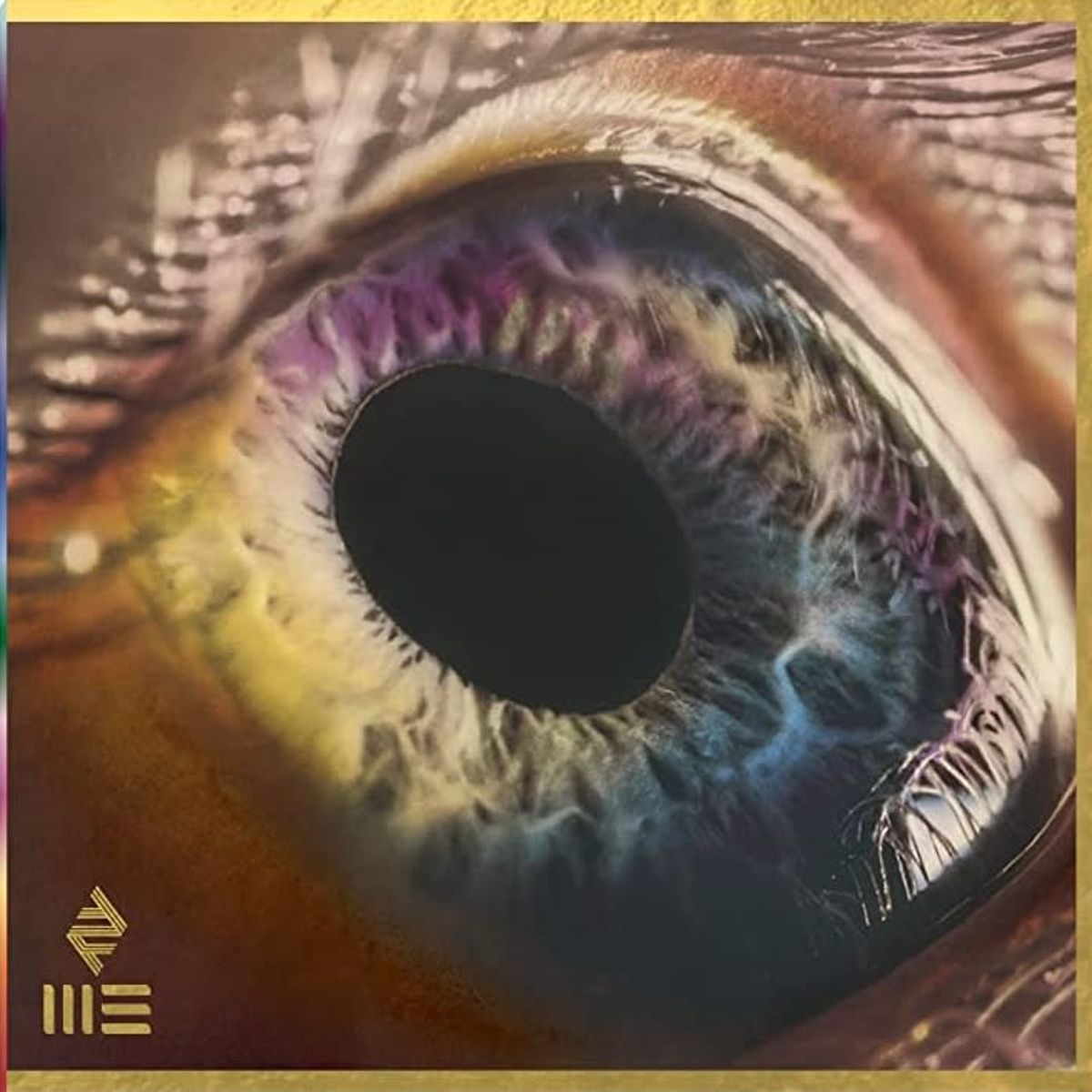 GRUPO LASER DISC - VINILO ARCADE FIRE WE 1LP