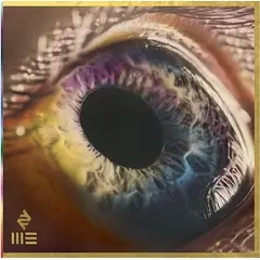 GRUPO LASER DISC - VINILO ARCADE FIRE WE 1LP