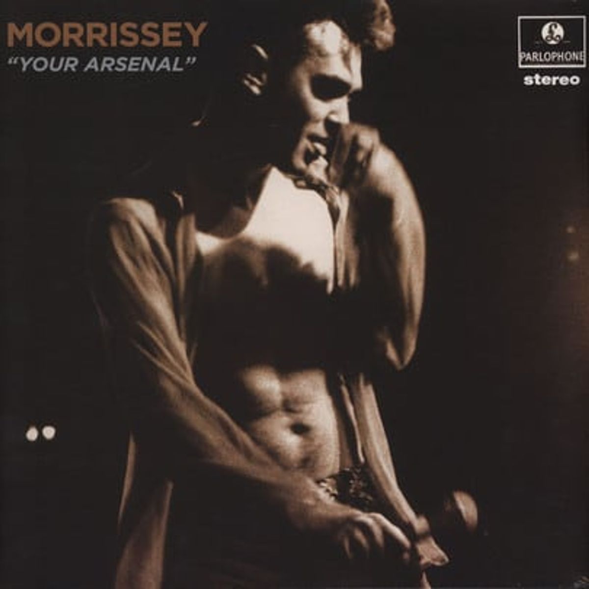 GRUPO LASER DISC - VINILO MORRISSEY YOUR ARSENAL 1LP