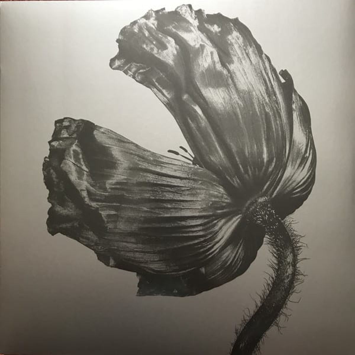 GRUPO LASER DISC - VINILO PET SHOP BOYS RELEASE 1LP