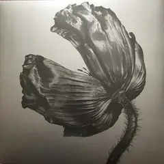 GRUPO LASER DISC - VINILO PET SHOP BOYS RELEASE 1LP