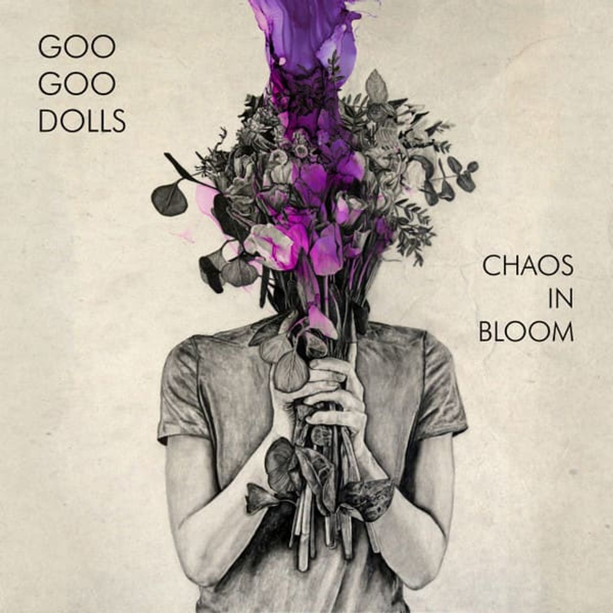 GRUPO LASER DISC - VINILO GOO GOO DOLLS CHAOS IN BLOOM 1LP