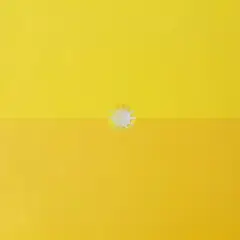 GRUPO LASER DISC - VINILO GUSTAVO CERATI AMOR AMARILLO 2LP