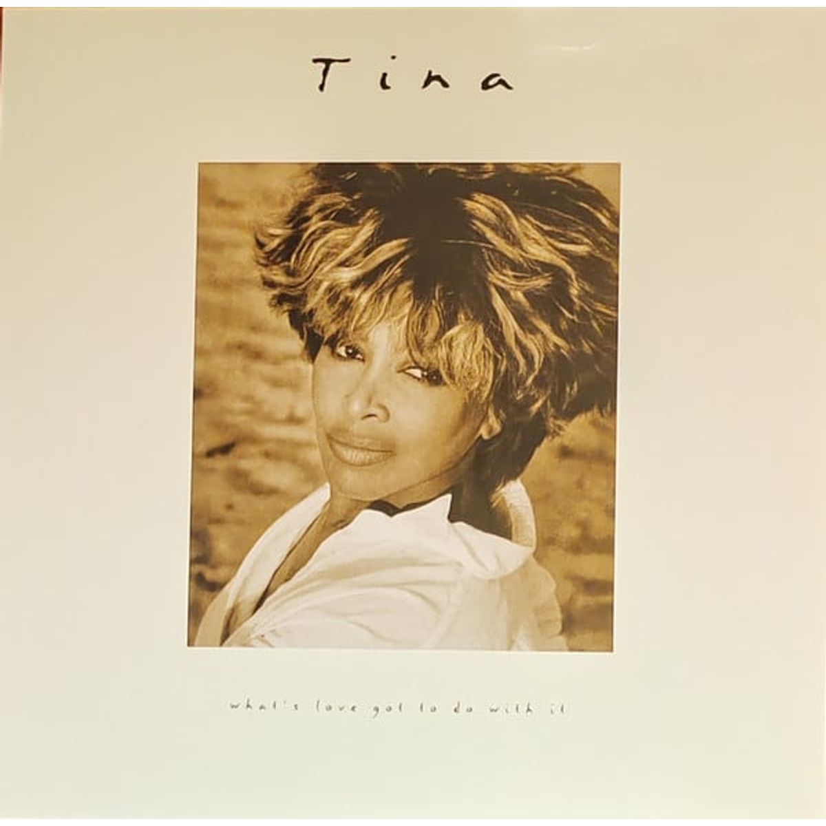 GRUPO LASER DISC - VINILO TINA TURNER WHATS LOVE GOT TO DO WITH IT 1LP