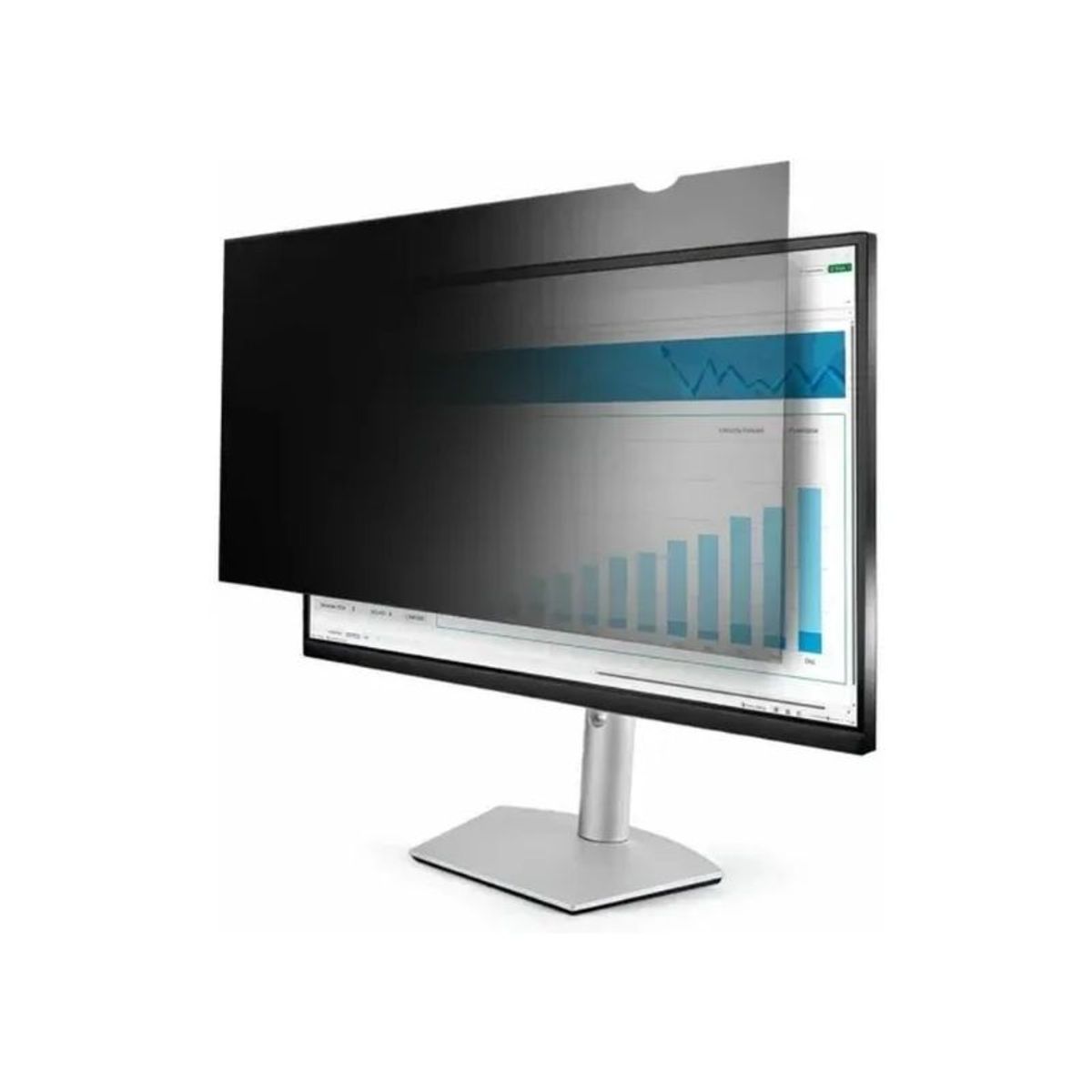 ERGOSTORE - Filtro de Privacidad para Monitor 24″ Antideslumbrante Ergostore
