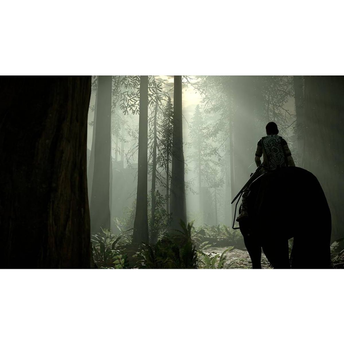 PLAYSTATION - Shadow Of The Colossus - Ps4 Juego Físico - Sniper Game