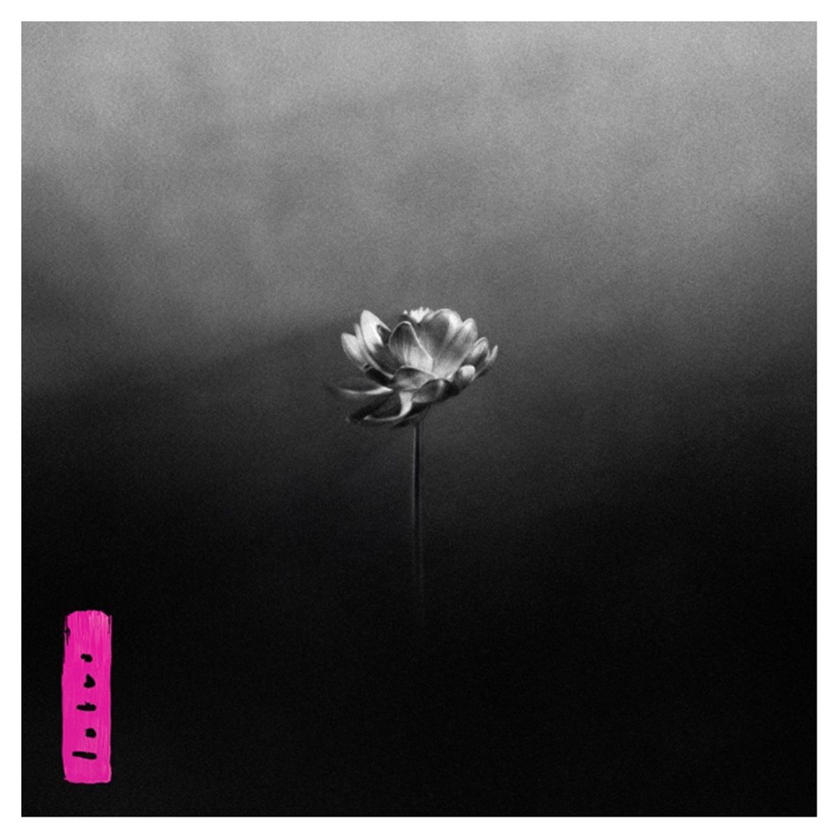 GENERICO - Little Simz - Lotus - Vinilo Doble