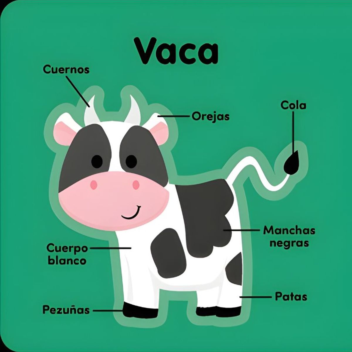 EDITORIAL CONTRAPUNTO - Mis primeros animales