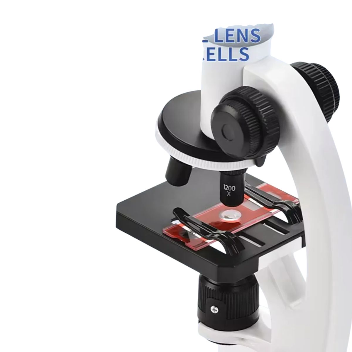 GENERICO - Kit Microscopio Compuesto Con Luz 300x A 1200x + Accesorios