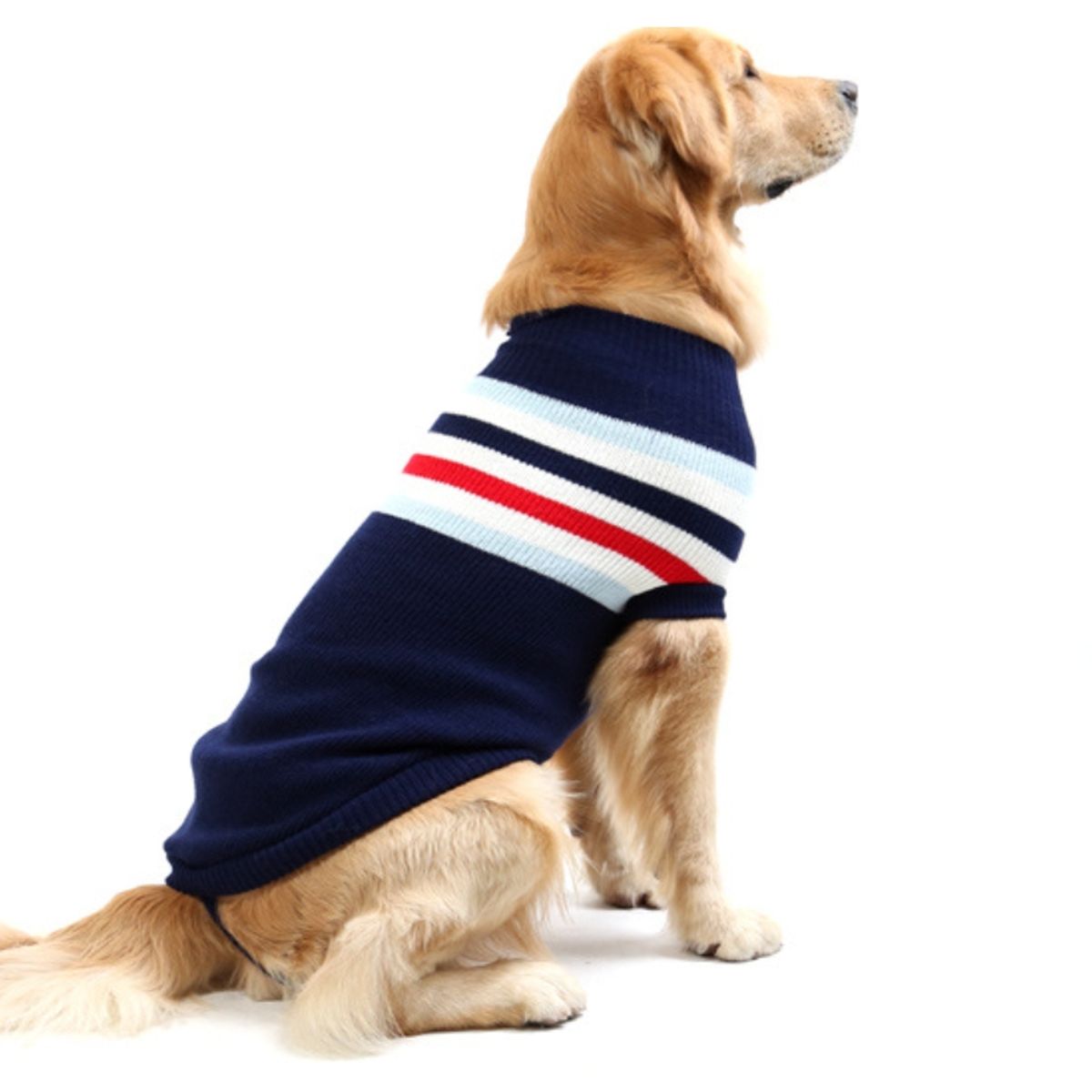 KINDA NICE - Chaleco Talla 28 Para Perros (25 A 45 Kilos)