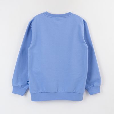 Imagen 2 del producto Polerón Cerrado Niño Azul Personaje Grande