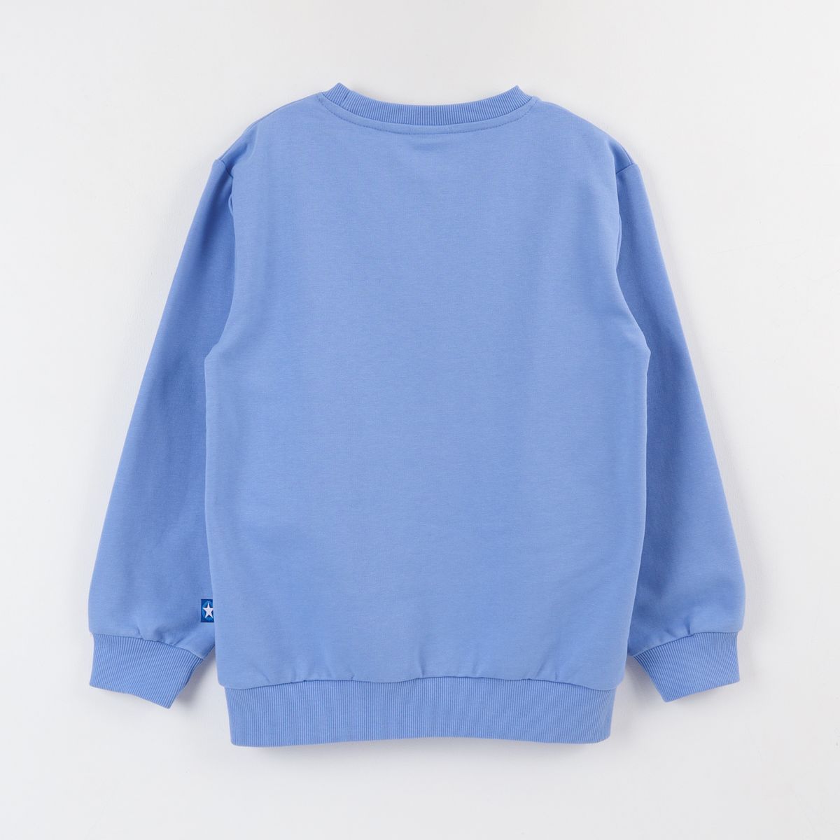 SONIC - Polerón Cerrado Niño Azul Personaje Grande Sonic