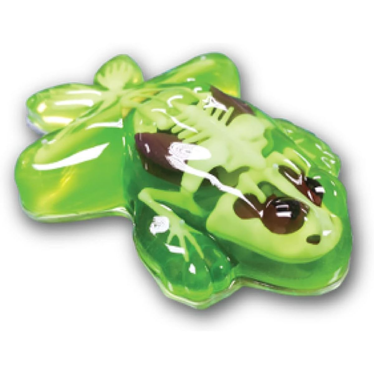 JOKER - Slimy Lab Mesa Disección Esqueleto Rana De Laboratorio