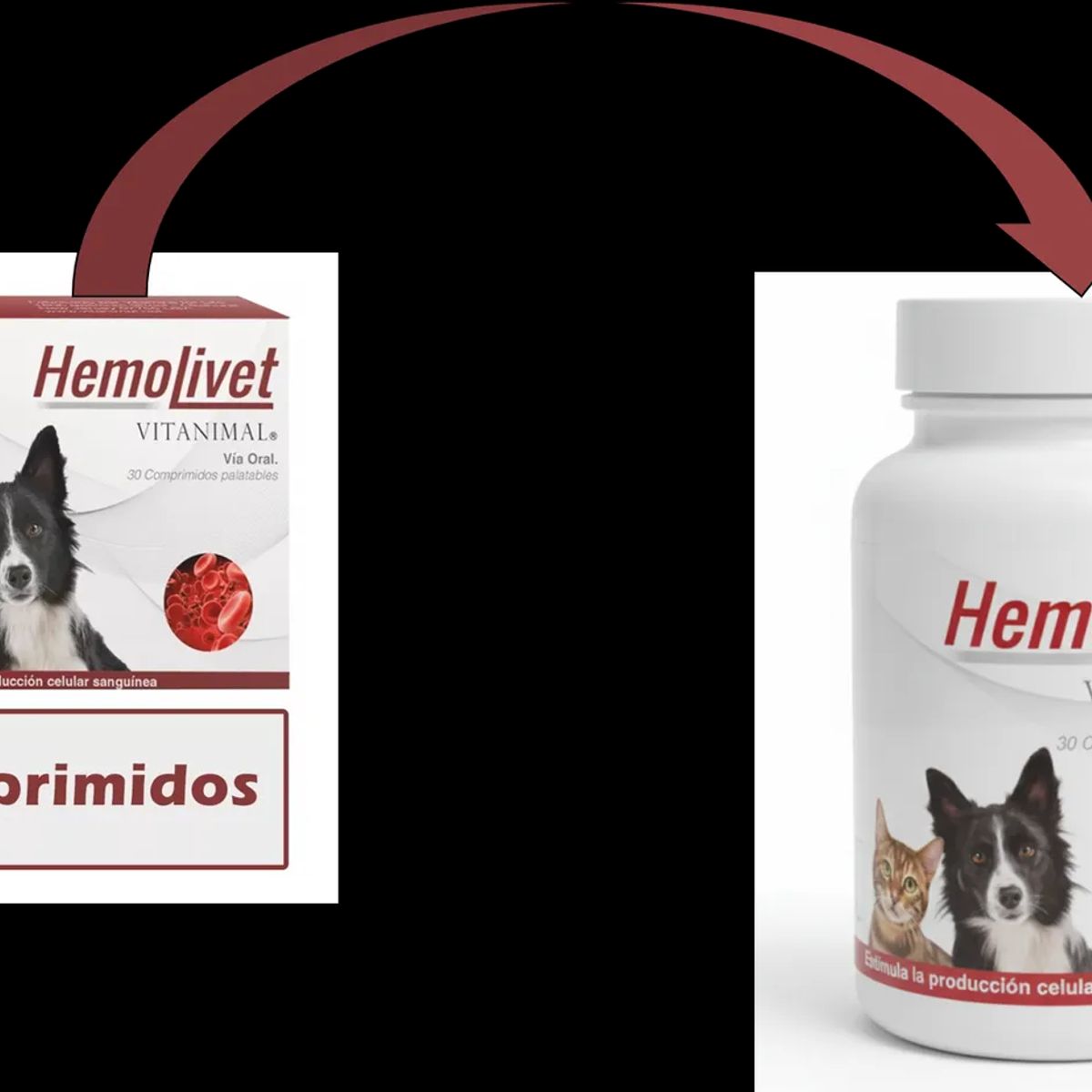 GENERICO - Hemolivet Vitanimal Suplemento Perros Y Gatos 30 Comprimidos
