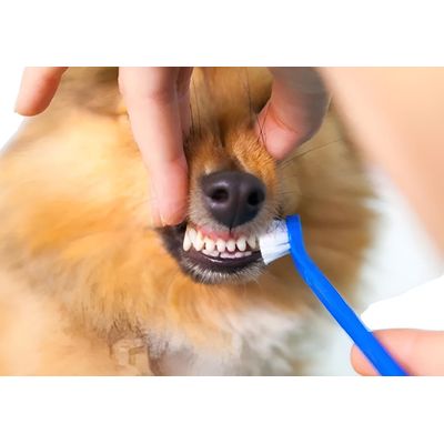 Imagen 2 del producto Pasta De Diente Para Mascotas Perro Crema Dental Sabor Carne Carne