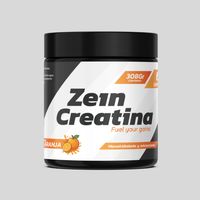 CREATINA MONOHIDRATADA Y MICRONIZADA 308GR NARANJA -