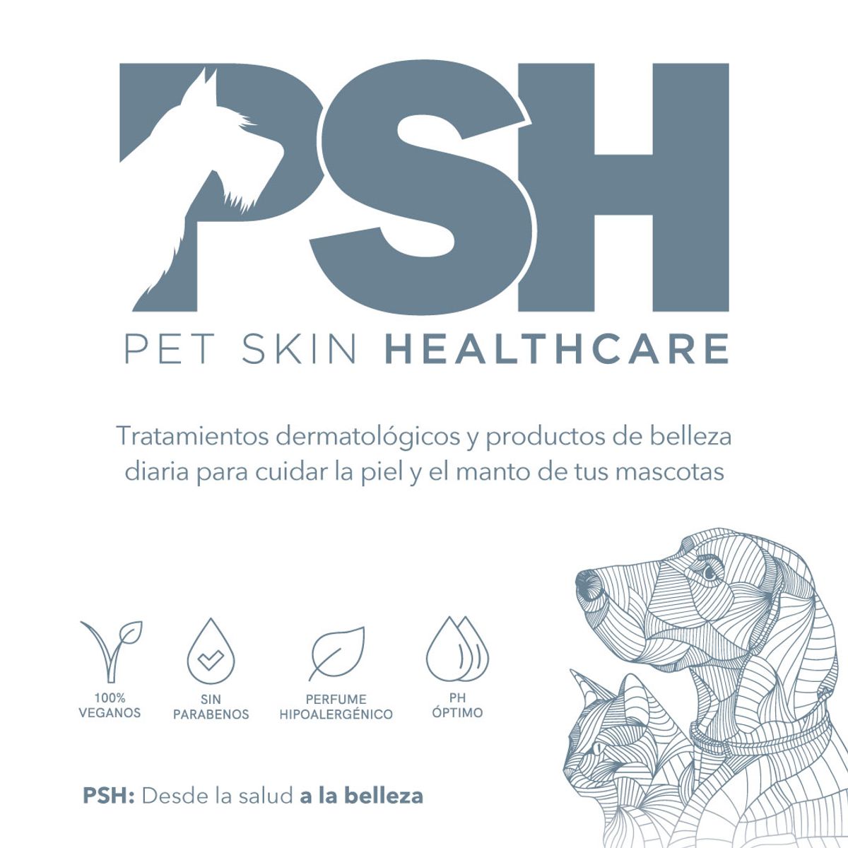 GENERICO - Bruma Antiprurito para Mascotas Antipruritic Treatment PSH 75 ml