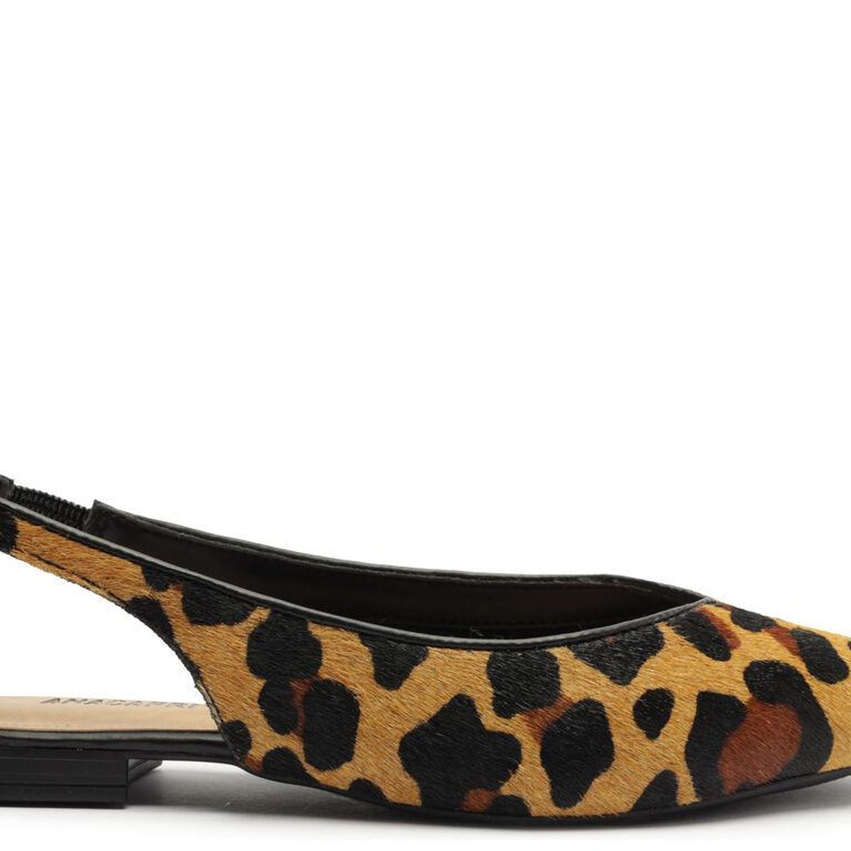 ANACAPRI - Zapato - Amelia - Anacapri - Leopardo