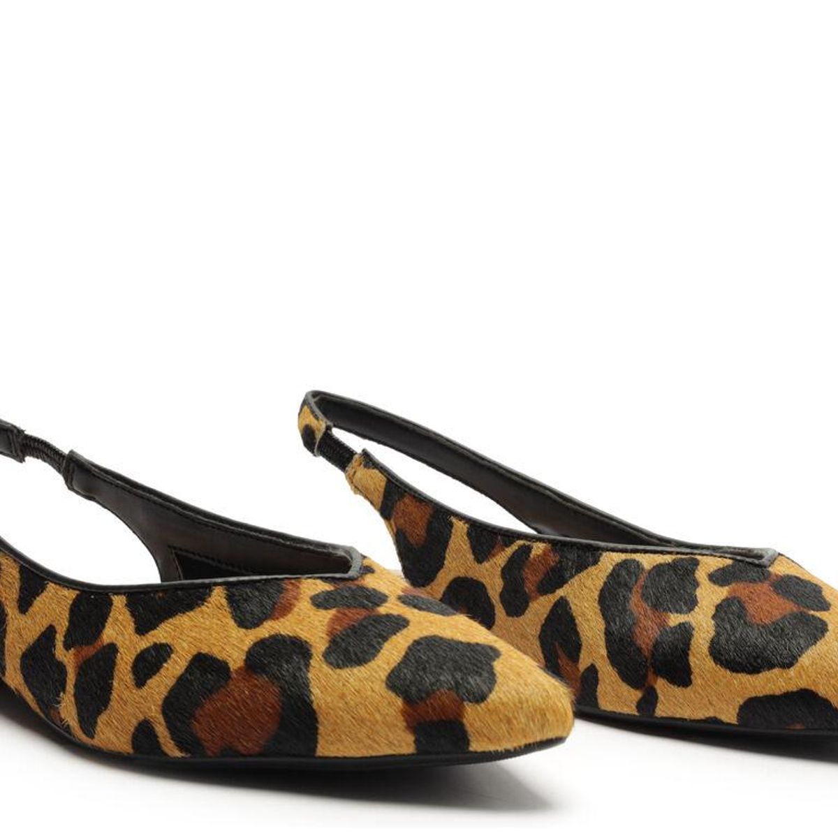 ANACAPRI - Zapato - Amelia - Anacapri - Leopardo