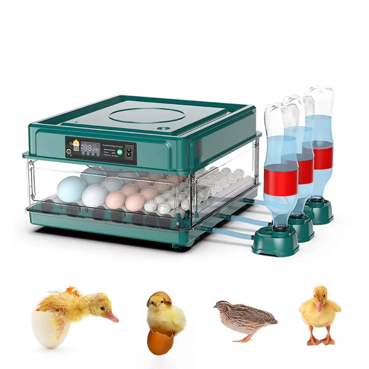 U BUY - Incubadora Automática para 48 Huevos