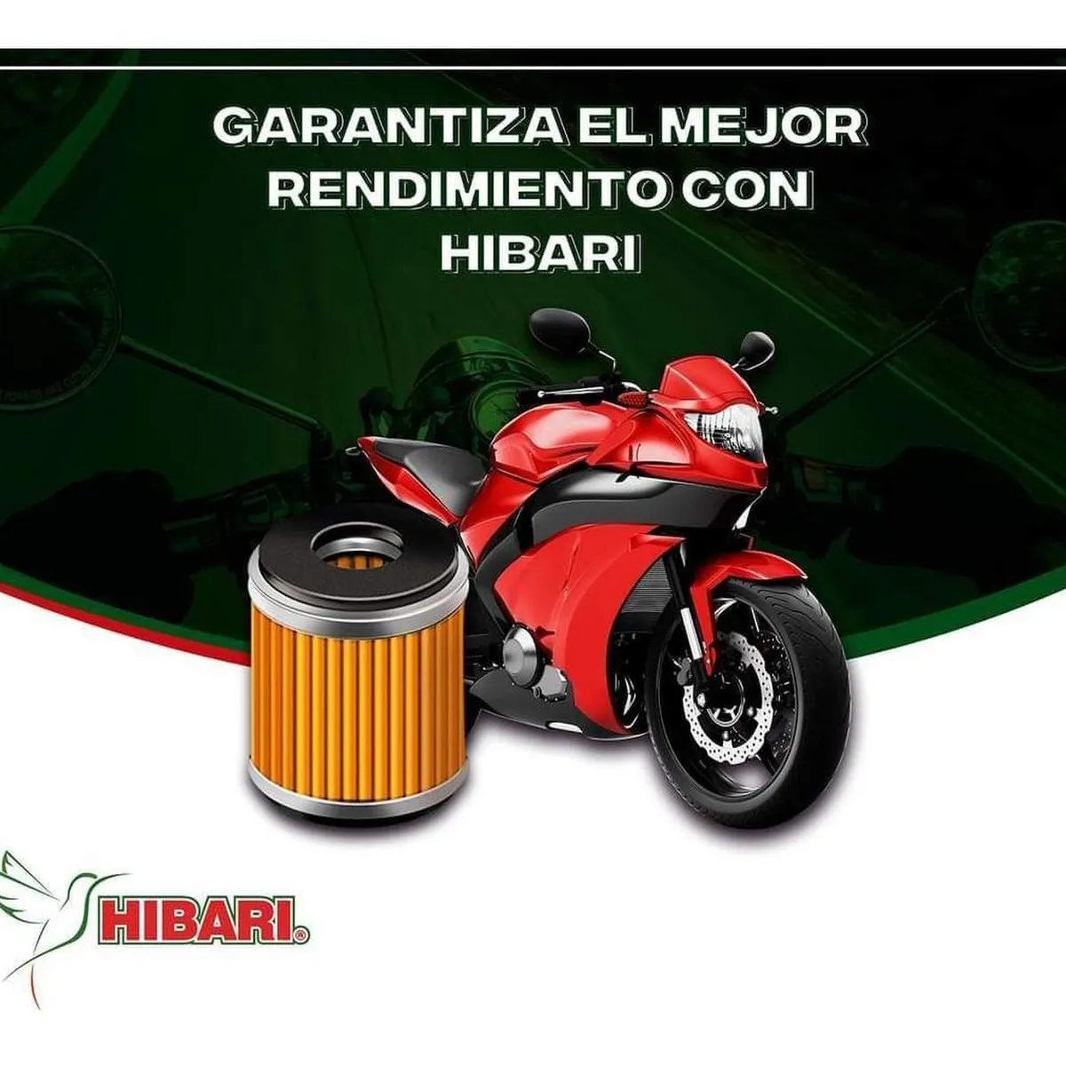 Filtro De Aceite Para Moto Ktm Adventure 250 / 390 Japones, marca GENERICO - Foto 2