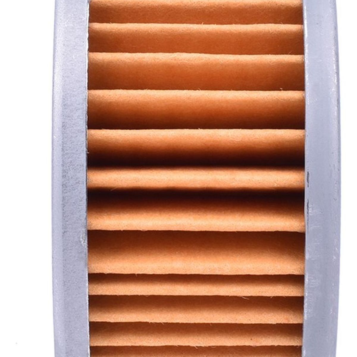 GENERICO - Filtro De Aceite Para Euromot Gxt 250