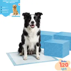 GENERICO - 120 Pañales Sabanillas Entrenamiento Absorbentes Mascota Perros y Gatos 60x60 cm