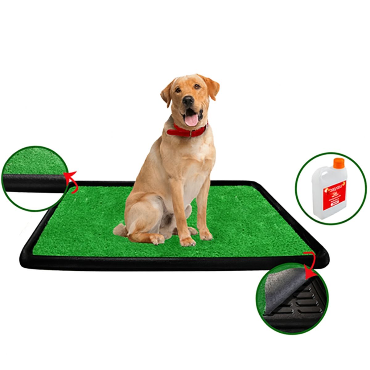 MOVI - Baño Ecológico XL para Perros  Entrenamiento Limpio y sin Olores en Casa