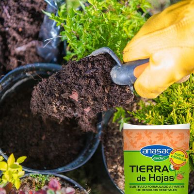 Imagen 2 del producto Tierra De Hojas 40L Sustrato Vegetal