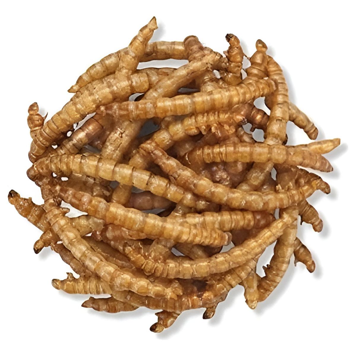 MARBEN PETS - Súper Tenebrios Deshidratados Para Aves Erizos Hámsters 400g