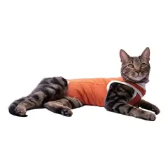 KIMBA - Body Tradicional De Cobre Post Quirúrgico Operatorio Talla 2 3.5 A 4.5kg Máximo