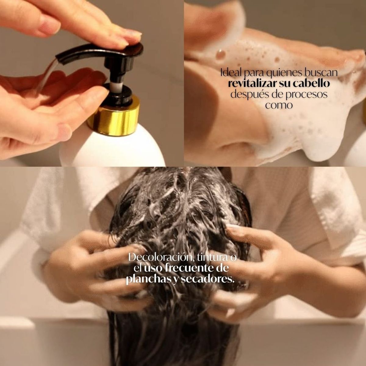 ELIZAVECCA - Elizavecca CER-100 Collagen Coating Hair A+ Muscle Shampoo