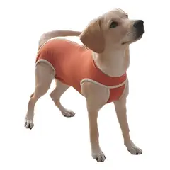 KIMBA - Body De Cobre Post Quirúrgico Castración Perro Macho Talla 8 17 A 21kg Máximo