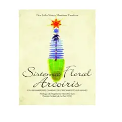 VERGARA - Sistema floral arcoiris