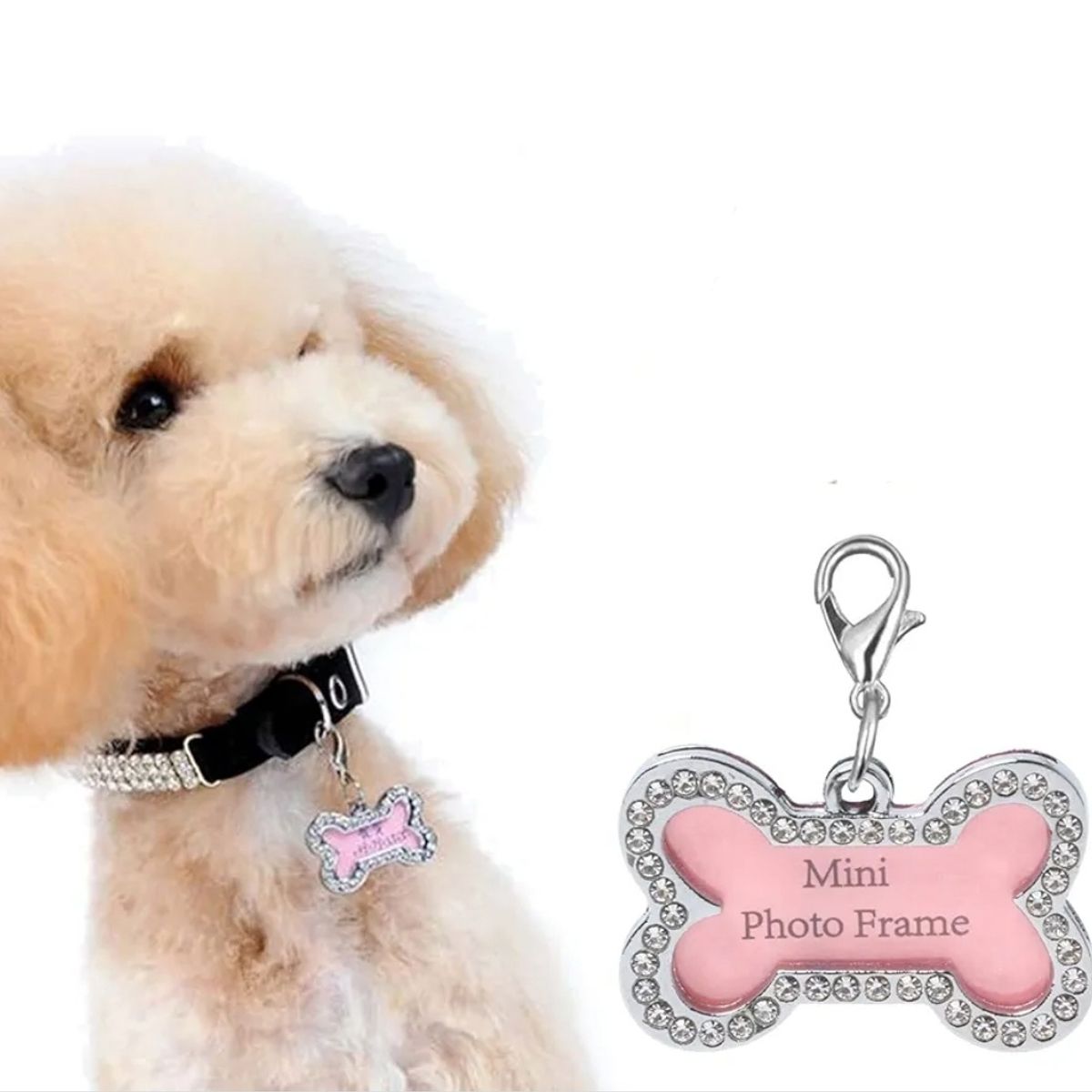 GENERICO - placas de identificacion para mascotas