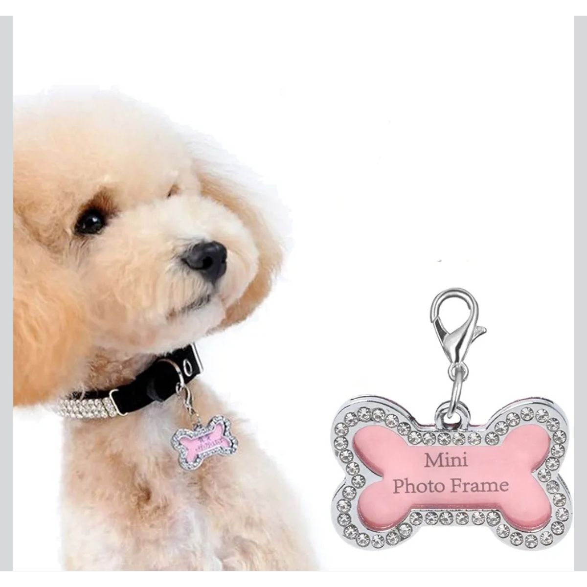 GENERICO - placas de identificacion para mascotas