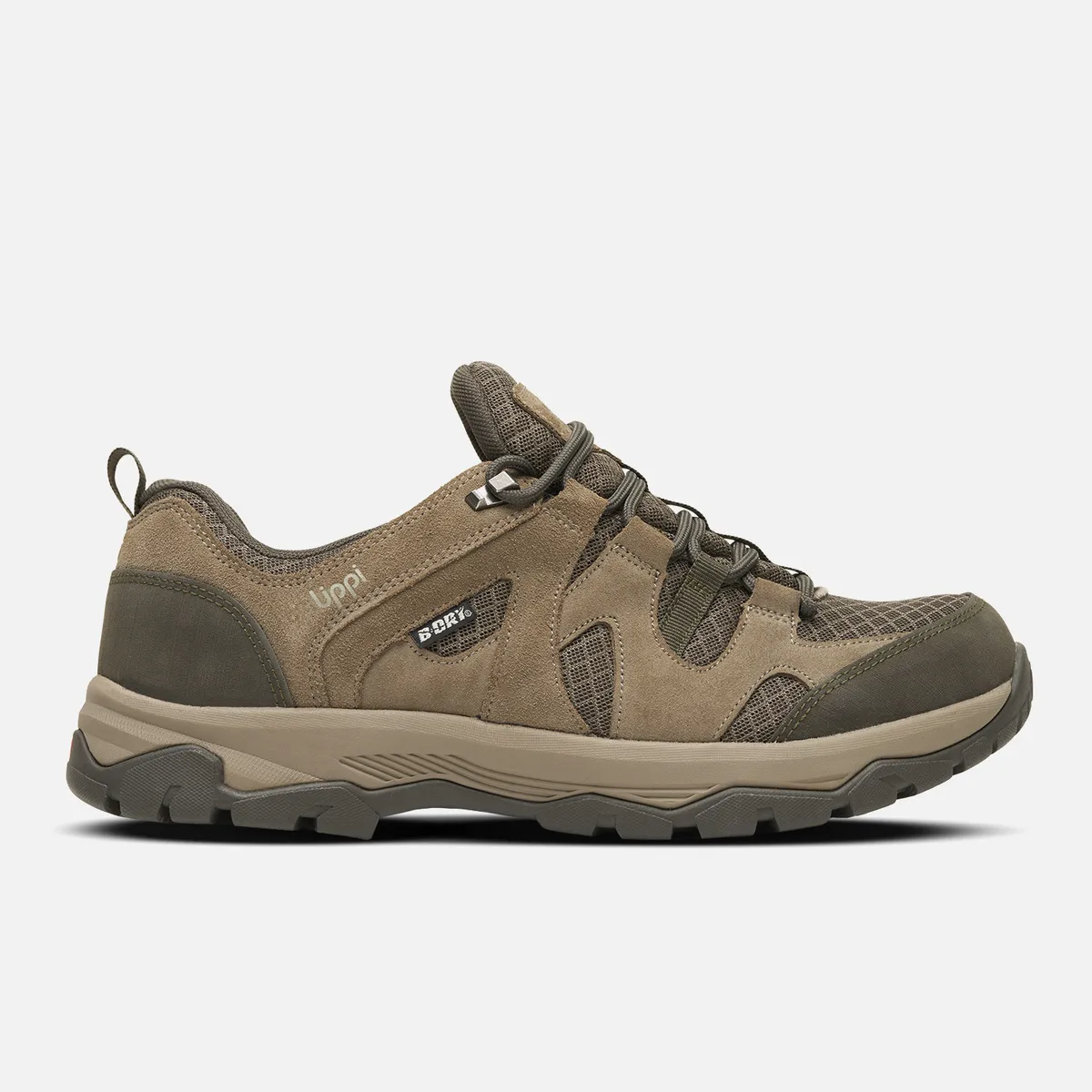 LIPPI - Zapato Hombre Tellus Low Taupe Oscuro Lippi