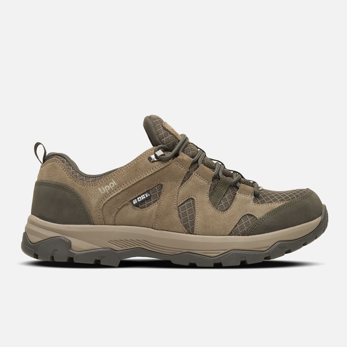 LIPPI - Zapato Hombre Tellus Low Taupe Oscuro Lippi