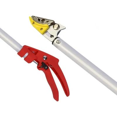 Imagen 2 del producto Podadora Telescópica Podadora De Largo Alcance