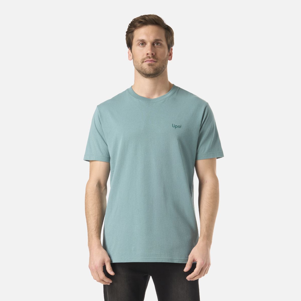 LIPPI - Polera Hombre Logo Lippi Back Print T-Shirt Turquesa Lippi